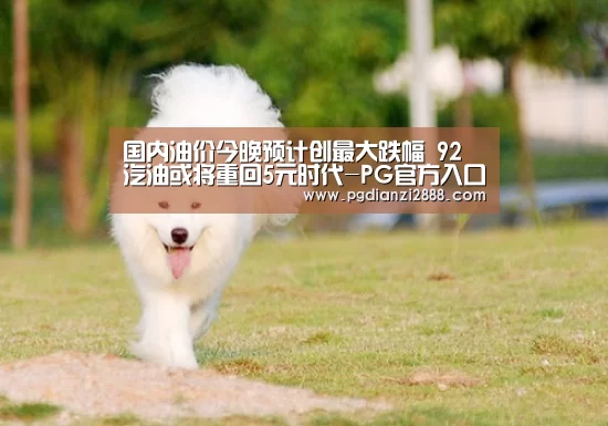 PG麻将平台